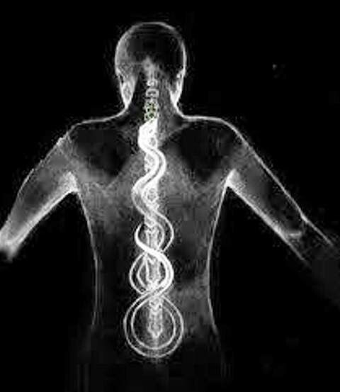 Immanuel_Kant_1724_1804